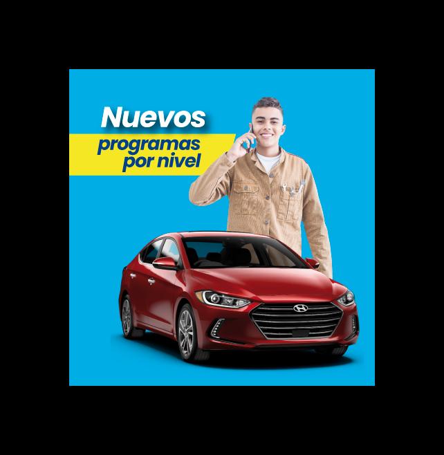 Programas por nivel
