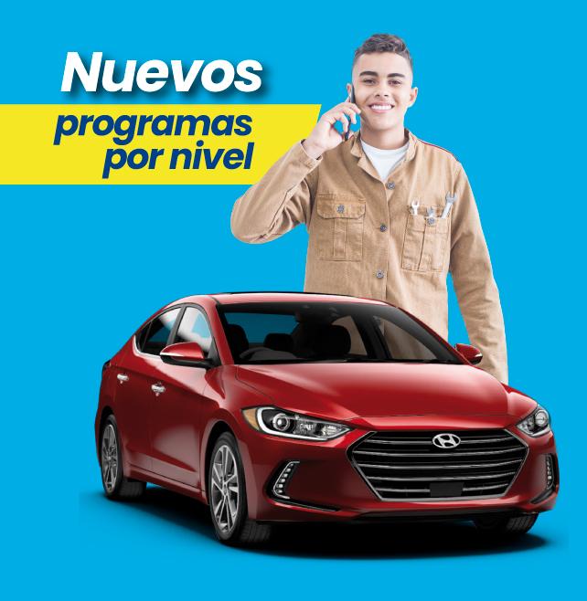 cursos por niveles